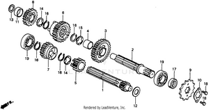 Transmission Schematic