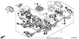 Wire Harness             (1) Schematic