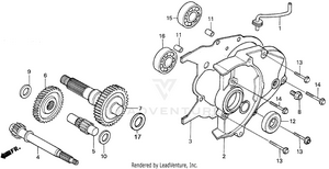 Transmission Schematic
