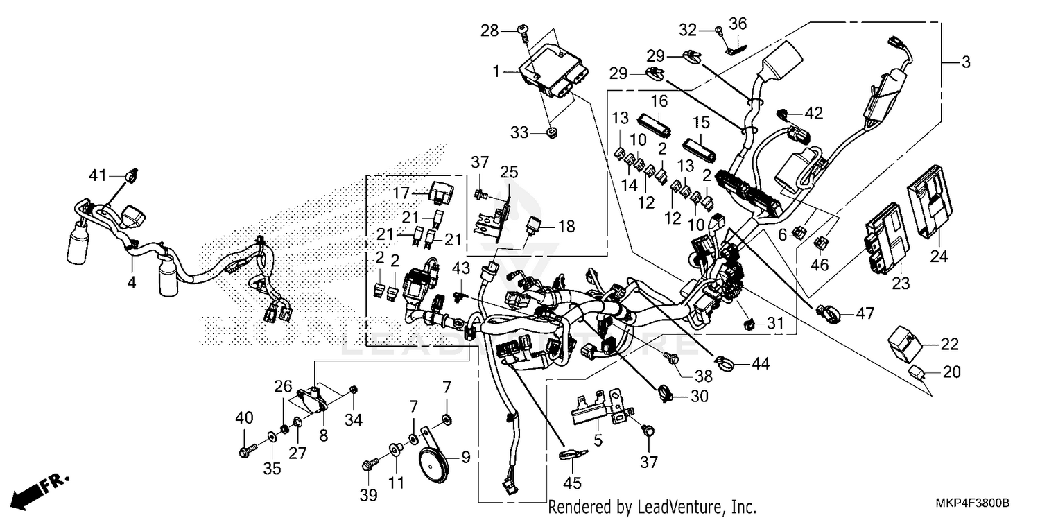 WIRE HARNESS