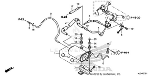 Evap Canister (cbr600ra) Schematic