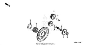 Starter Gear Schematic