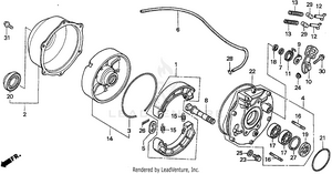 Rear Brake Schematic