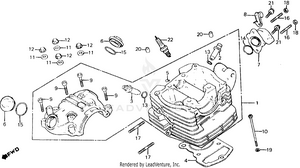 Cylinder Head Schematic