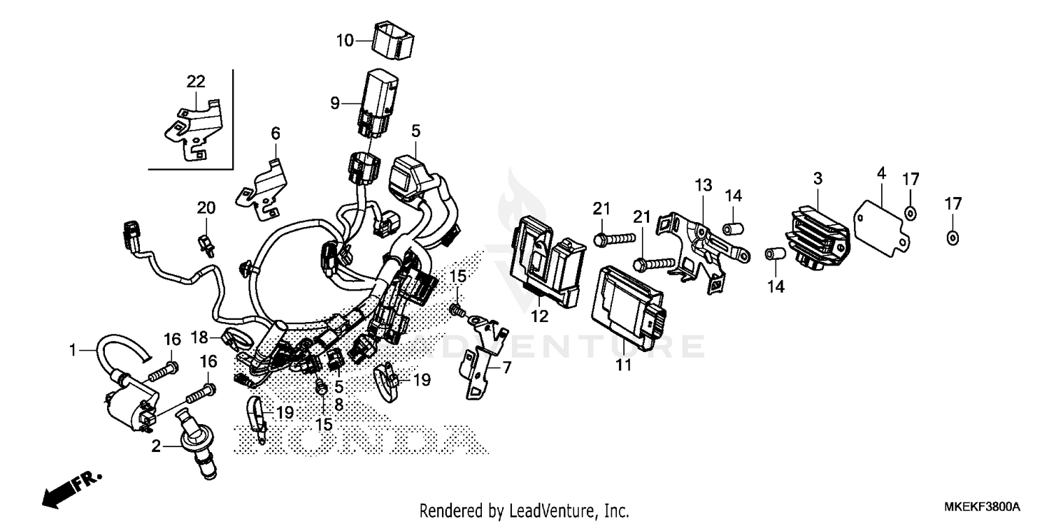 WIRE HARNESS