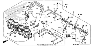 Throttle Body Schematic