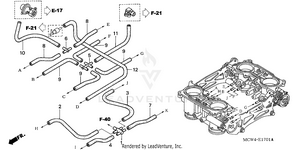 Throttle Body (tubing) Schematic