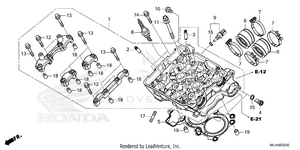 Cylinder Head Schematic