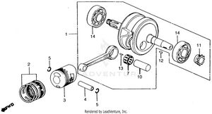Crankshaft + Piston Schematic