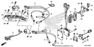 Ignition Coil@ecu Schematic