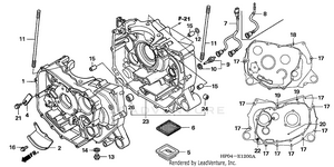 Crankcase Schematic