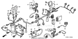 Wire Harness (2) Schematic