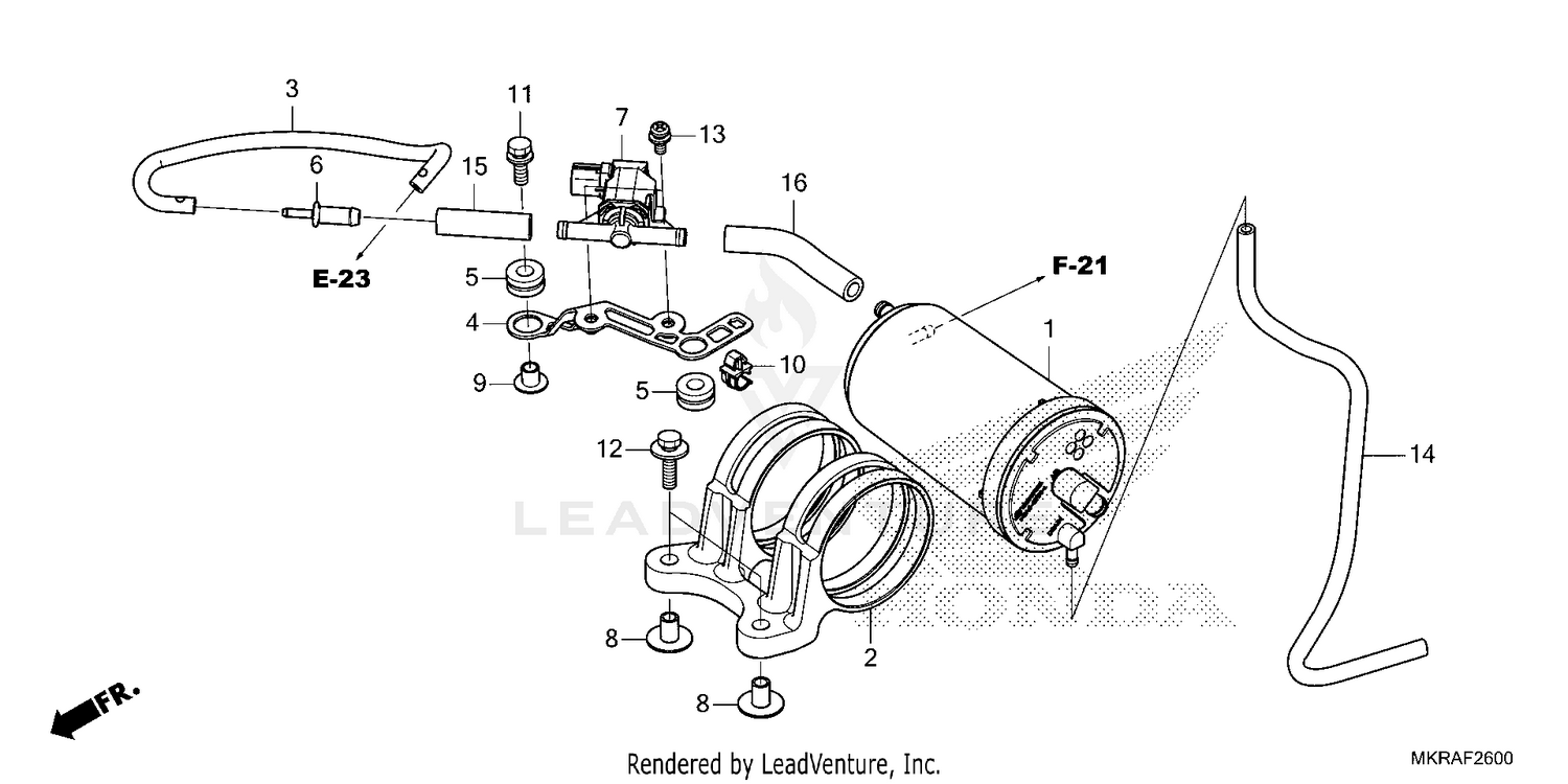 CANISTER