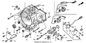 Rear Crankcase Cover Schematic
