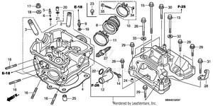 Cylinder Head Schematic