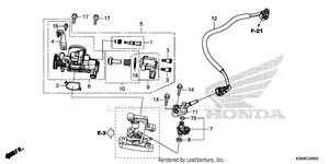 Throttle Body Schematic