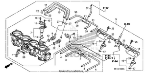 Throttle Body Schematic