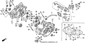 Crankcase Schematic