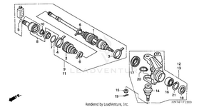 Knuckle Schematic