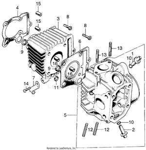 Cylinder + Cylinder Head Schematic