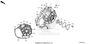 Rear Crankcase Cover Schematic