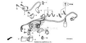 Wire Harness (2) Schematic