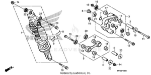 Rear Shock Absorber Schematic