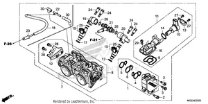 Throttle Body Schematic