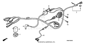 Wire Harness ('01-'05) Schematic