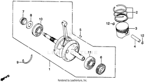 Crankshaft + Piston Schematic
