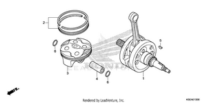 Crankshaft + Piston Schematic