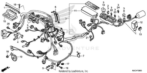 Wire Harness Schematic