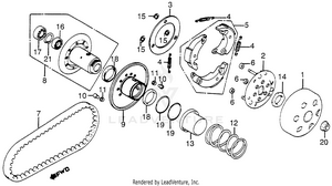 Driven Face Schematic