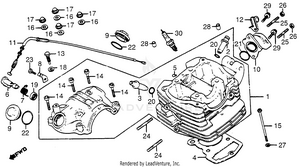 Cylinder Head Schematic