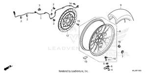 Rear Wheel Schematic