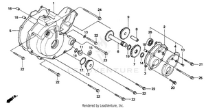 Left Crankcase Cover (1) Schematic