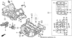 Crankcase Schematic