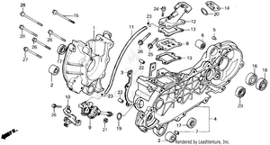 Crankcase Schematic