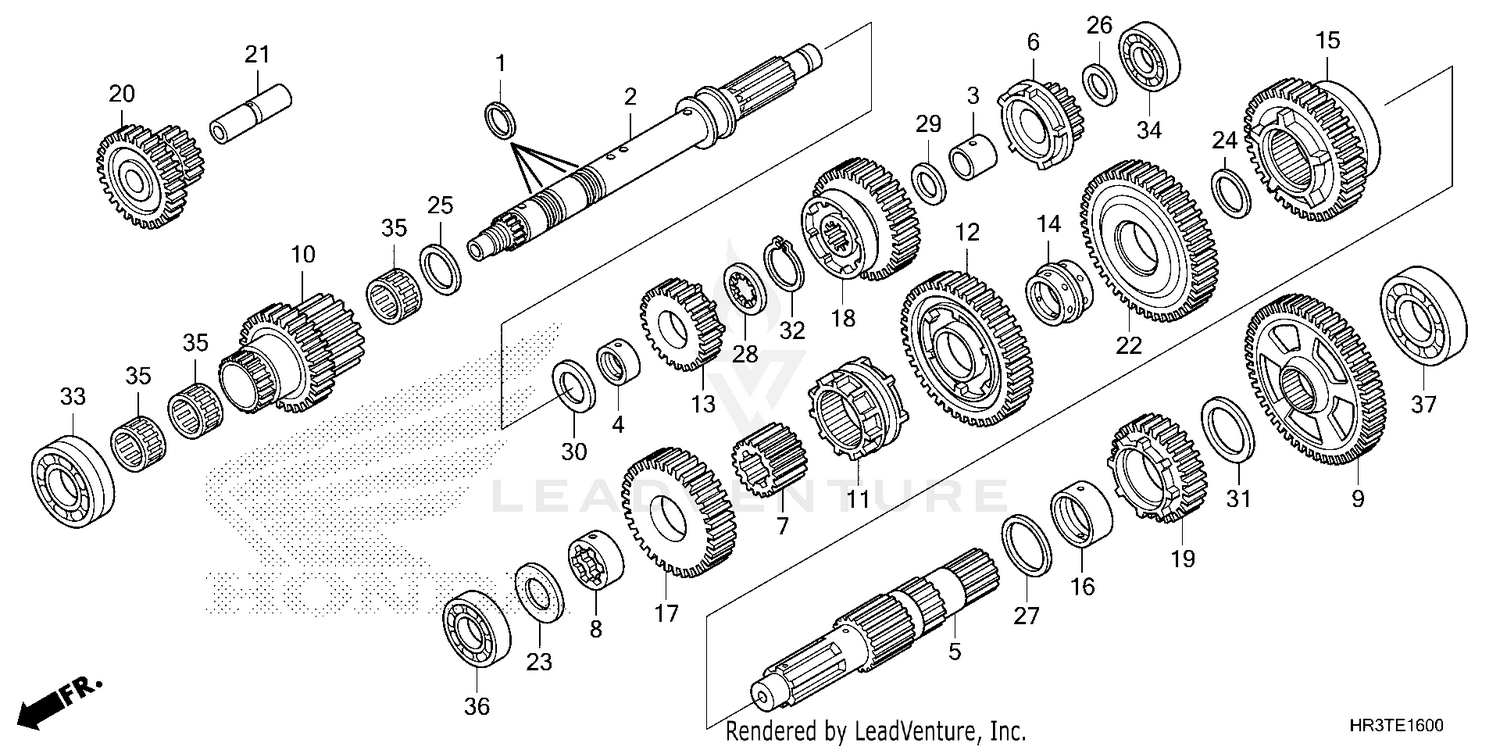 TRANSMISSION (1)