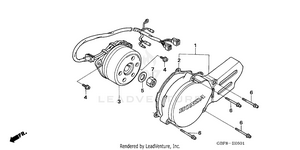 Left Crankcase Cover ('05-'06) Schematic