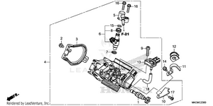 Throttle Body Schematic