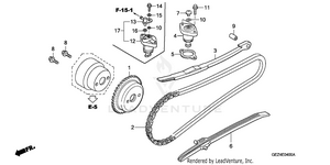Cam Chain + Tensioner Schematic