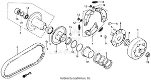 Driven Face Schematic