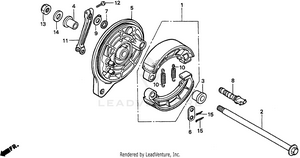 Rear Brake Panel Schematic