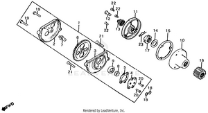 Oil Pump + Oil Filter Schematic