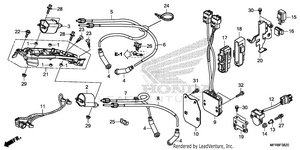 Ignition Coil@ecu Schematic
