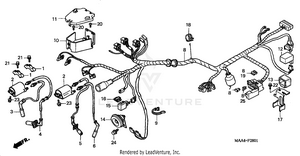 Wire Harness (2) Schematic