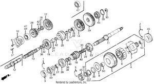 Transmission Schematic