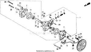 Oil Pump Schematic