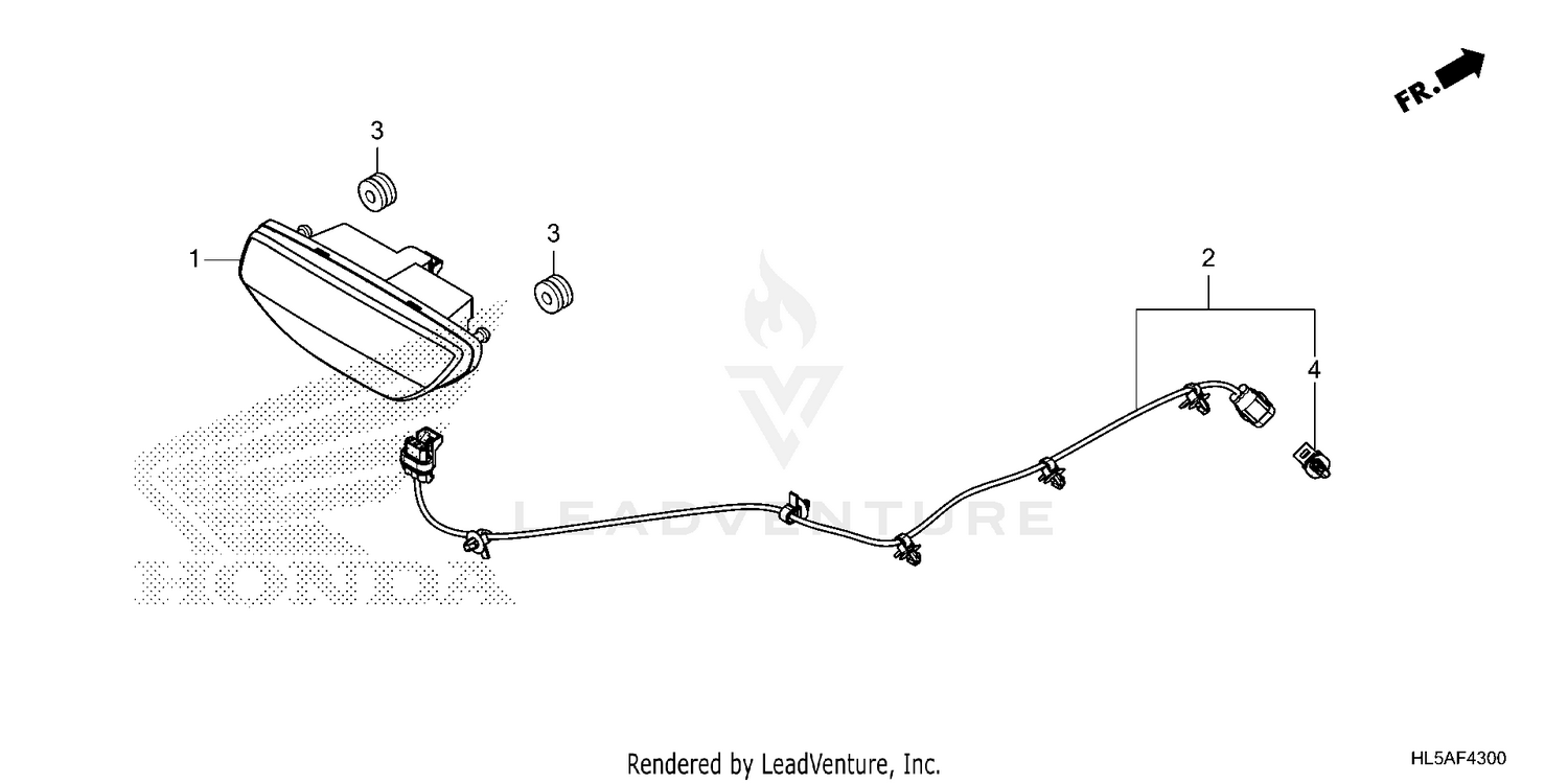 TAILLIGHT (1)